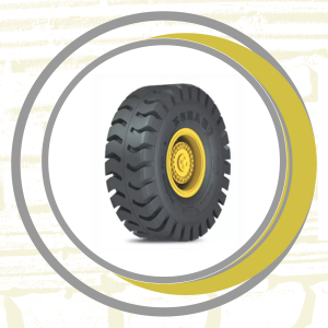 بارز درجه یک 23/5-25-24 (Q10)